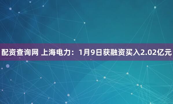 配资查询网 上海电力：1月9日获融资买入2.02亿元